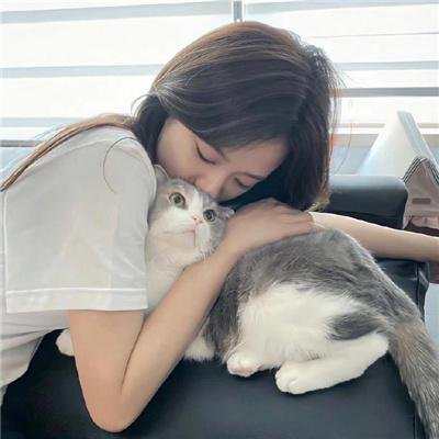 狄小肆之幽冥飞狼